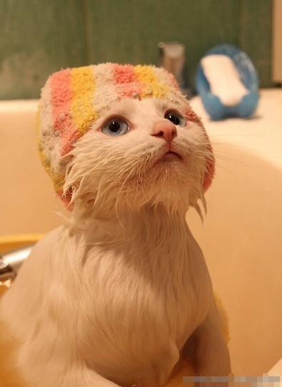 总有些蛋疼事令人崩溃 搞笑猛图