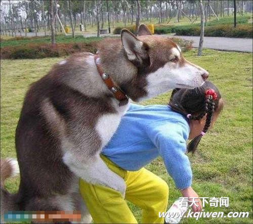 天底下最大胆的色狼最疯狂的狗当街当众非礼女人