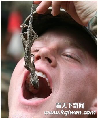 美军练胆生吃蝎子蜥蜴青蛙 有女兵晕倒(组图)