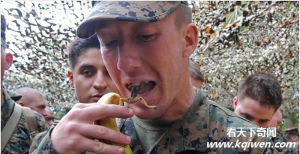 美军练胆生吃蝎子蜥蜴青蛙 有女兵晕倒(组图)