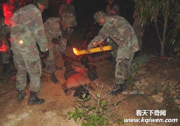 实拍泰国海豹部队的魔鬼训练全裸残虐现场(组图)